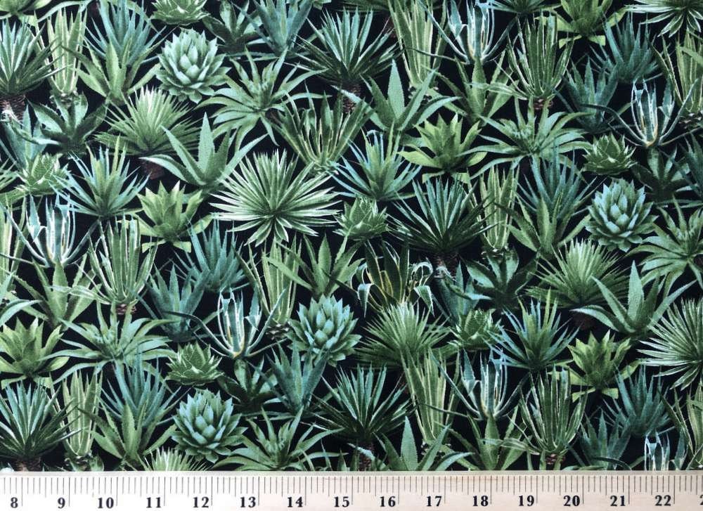 Succulents Fabric Desert Cactus Plants Fabric Sedum Yucca Aloe Succulent Plants Timeless Treasures Cotton Fabric