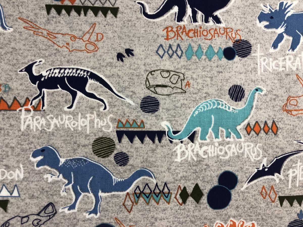 Dinosaur Names on Gray Fabric Dino Boy Fabric Quilting Fabric By the Yard HY t6/27