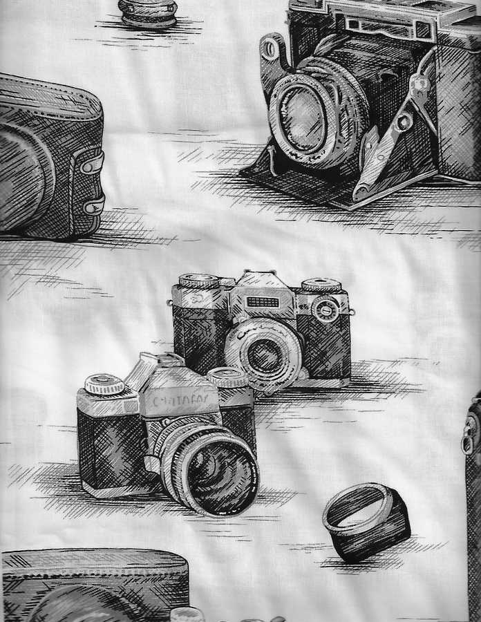 Antique Camera Black & White Gray Retro 100% Cotton Fabric BTY or Half Yard t3/1