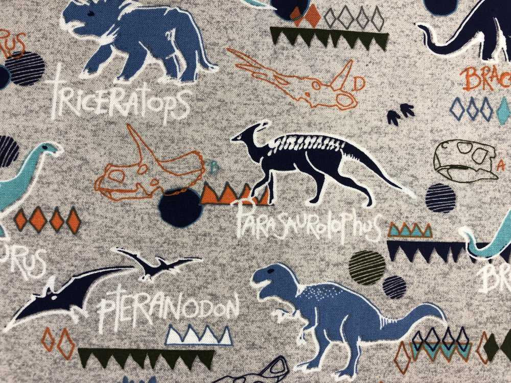 Dinosaur Names on Gray Fabric Dino Boy Fabric Quilting Fabric By the Yard HY t6/27