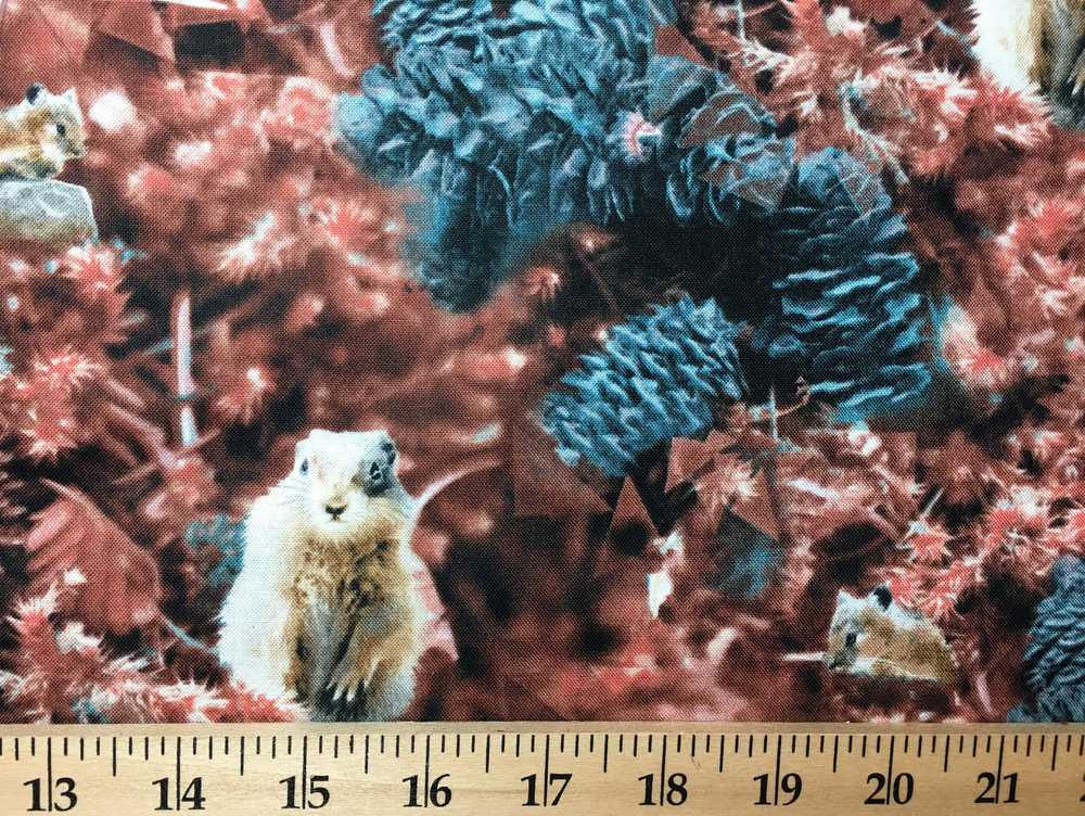 Woodland Forest Critters Fabric Chipmunks & Squirrels Fabric Fall Animals Wildflowers Pine Cone Timeless Treasures Quilting Fabric ft