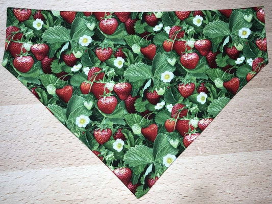 Red Strawberry Dog Bandana Strawberries Fruit Food Green Leaf Neckerchief Cat Dog Kerchief Bandana Neckwear